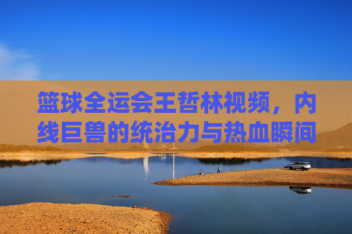 篮球全运会王哲林视频,内线巨兽的统治力与热血瞬间