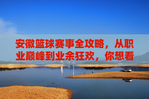 安徽篮球赛事全攻略,从职业巅峰到业余狂欢,你想看的都在这里