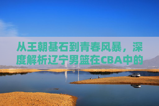 从王朝基石到青春风暴,深度解析辽宁男篮在CBA中的真实竞争力排名
