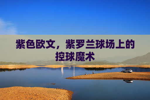 紫色欧文,紫罗兰球场上的控球魔术