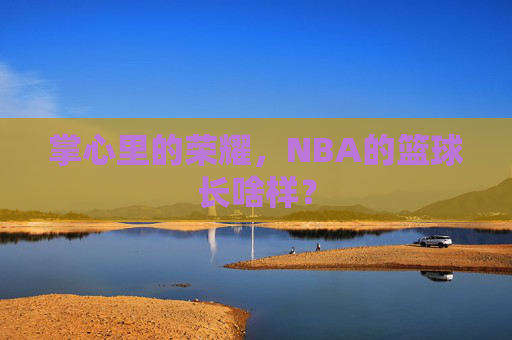 掌心里的荣耀，NBA的篮球长啥样？