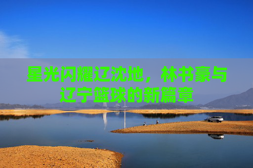 星光闪耀辽沈地,林书豪与辽宁篮球的新篇章