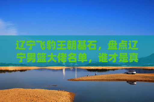 辽宁飞豹王朝基石,盘点辽宁男篮大佬名单,谁才是真正的精神图腾?