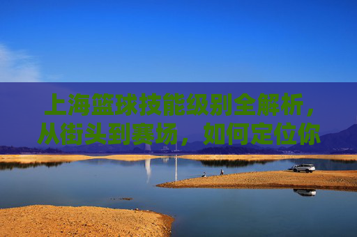 上海篮球技能级别全解析,从街头到赛场,如何定位你的篮球段位?