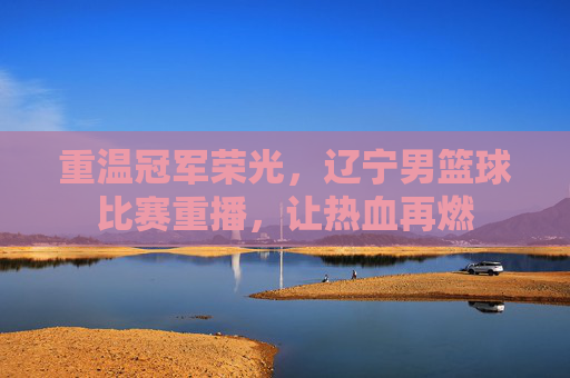 重温冠军荣光,辽宁男篮球比赛重播,让热血再燃