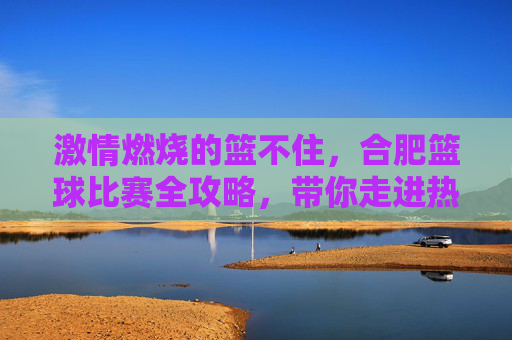激情燃烧的篮不住,合肥篮球比赛全攻略,带你走进热血主场