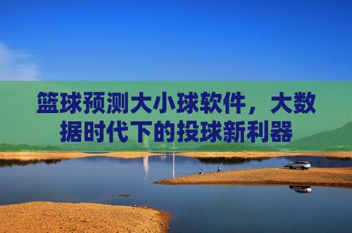 篮球预测大小球软件,大数据时代下的投球新利器