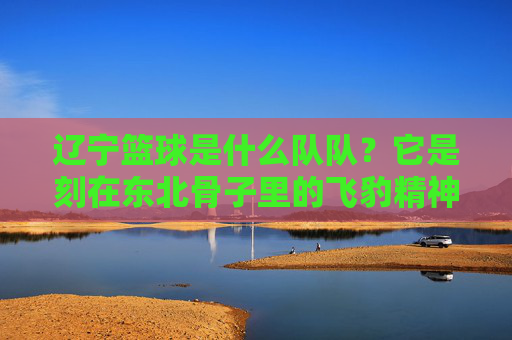 辽宁篮球是什么队队?它是刻在东北骨子里的飞豹精神
