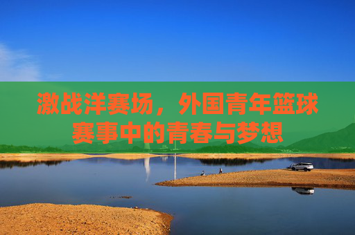 激战洋赛场,外国青年篮球赛事中的青春与梦想