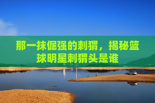 那一抹倔强的刺猬，揭秘篮球明星刺猬头是谁
