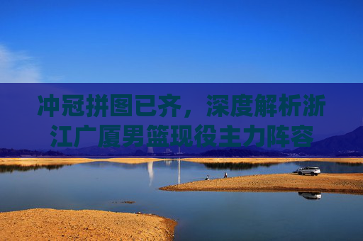 冲冠拼图已齐，深度解析浙江广厦男篮现役主力阵容