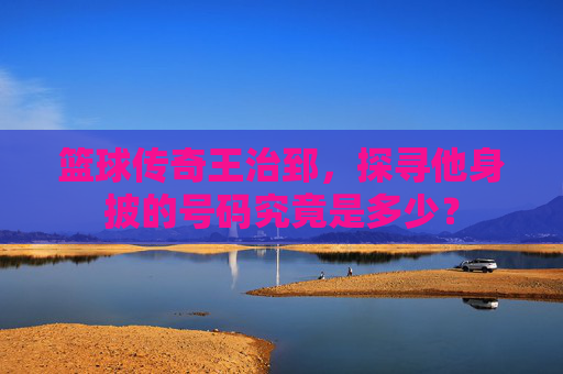 篮球传奇王治郅,探寻他身披的号码究竟是多少?