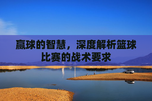 赢球的智慧,深度解析篮球比赛的战术要求