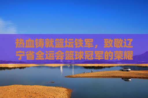 热血铸就篮坛铁军,致敬辽宁省全运会篮球冠军的荣耀时刻