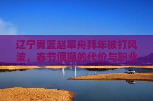 辽宁男篮赵率舟拜年被打风波,春节假期的代价与职业球员的底线