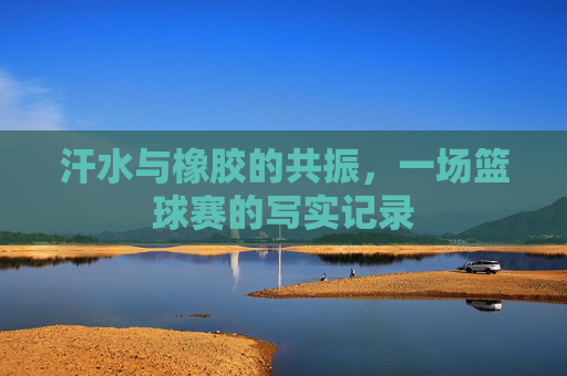 汗水与橡胶的共振,一场篮球赛的写实记录