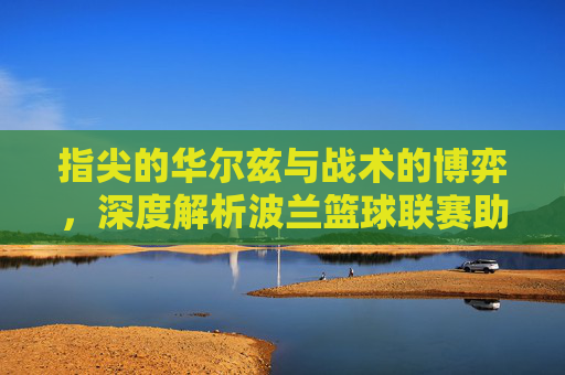 指尖的华尔兹与战术的博弈,深度解析波兰篮球联赛助攻集锦