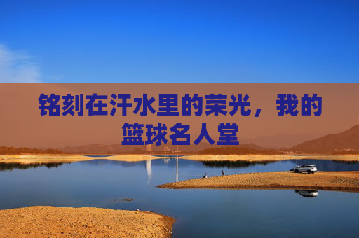 铭刻在汗水里的荣光,我的篮球名人堂