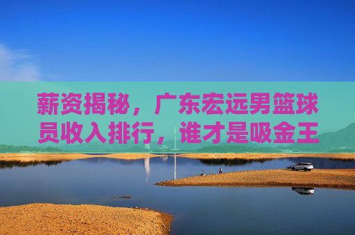 薪资揭秘,广东宏远男篮球员收入排行,谁才是吸金王?