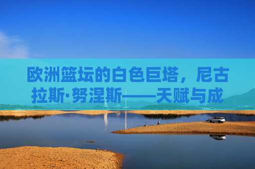 欧洲篮坛的白色巨塔，尼古拉斯·努涅斯——天赋与成长的完美协奏