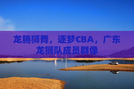 龙腾狮舞,逐梦CBA,广东龙狮队成员群像
