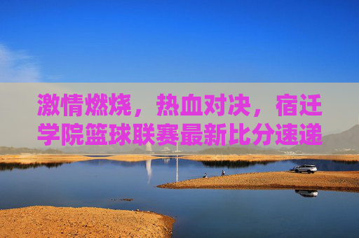 激情燃烧,热血对决,宿迁学院篮球联赛最新比分速递