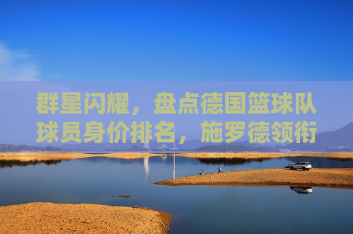群星闪耀,盘点德国篮球队球员身价排名,施罗德领衔众将