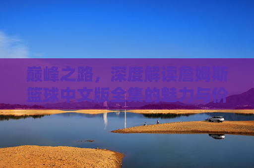 巅峰之路,深度解读詹姆斯篮球中文版全集的魅力与价值