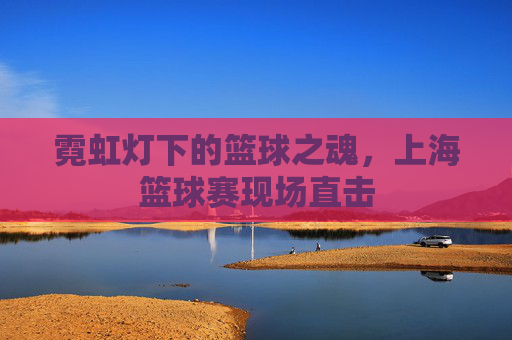 霓虹灯下的篮球之魂,上海篮球赛现场直击