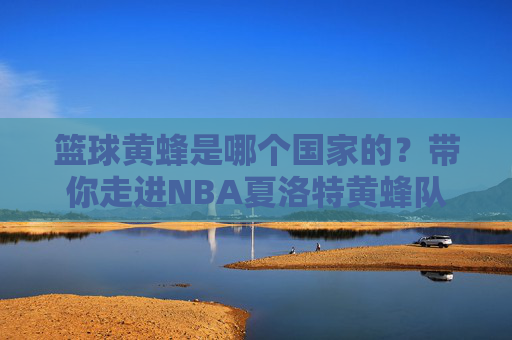 篮球黄蜂是哪个国家的？带你走进NBA夏洛特黄蜂队