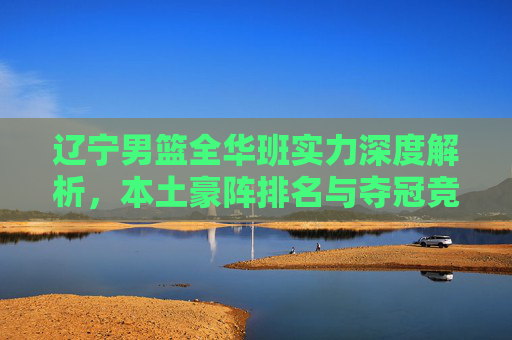 辽宁男篮全华班实力深度解析，本土豪阵排名与夺冠竞争力