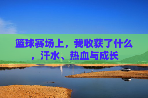 篮球赛场上,我收获了什么,汗水、热血与成长
