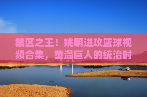禁区之王!姚明进攻篮球视频合集,重温巨人的统治时刻