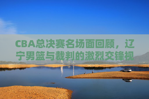 CBA总决赛名场面回顾,辽宁男篮与裁判的激烈交锋视频引爆全网