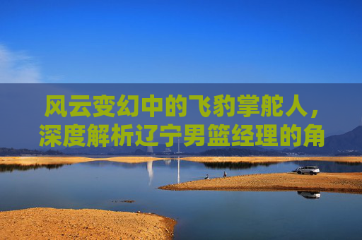 风云变幻中的飞豹掌舵人,深度解析辽宁男篮经理的角色与挑战