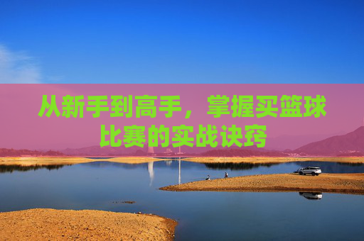从新手到高手,掌握买篮球比赛的实战诀窍