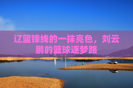 辽篮锋线的一抹亮色,刘云鹏的篮球逐梦路