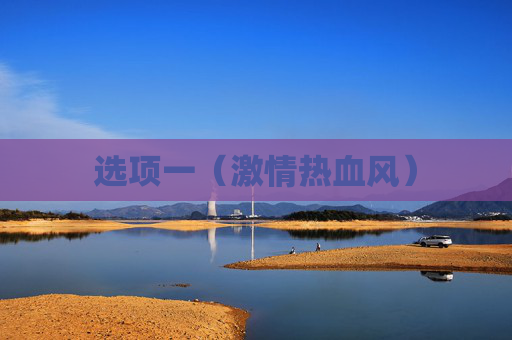 选项一（激情热血风）