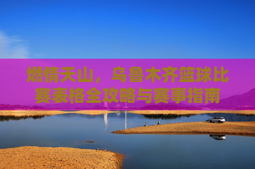 燃情天山,乌鲁木齐篮球比赛表格全攻略与赛事指南