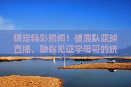 锁定精彩瞬间!雄鹿队篮球直播,助你见证字母哥的统治力
