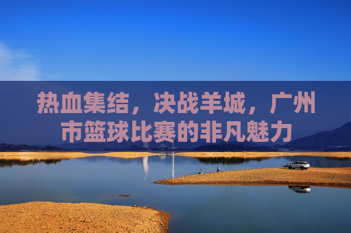 热血集结,决战羊城,广州市篮球比赛的非凡魅力