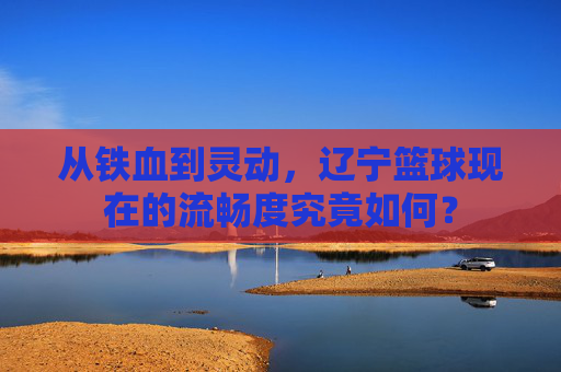 从铁血到灵动,辽宁篮球现在的流畅度究竟如何?