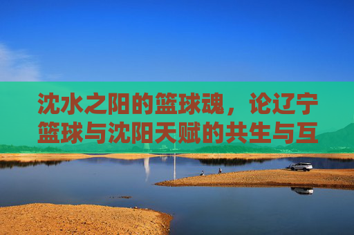 沈水之阳的篮球魂,论辽宁篮球与沈阳天赋的共生与互为表里