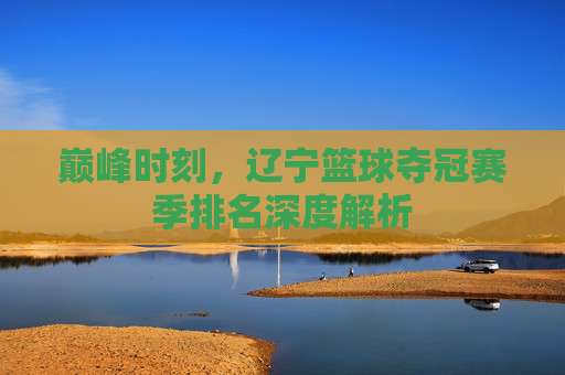巅峰时刻,辽宁篮球夺冠赛季排名深度解析