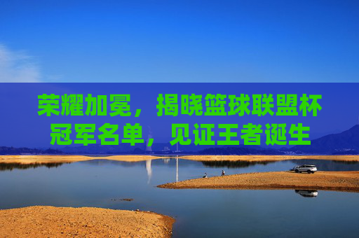 荣耀加冕,揭晓篮球联盟杯冠军名单,见证王者诞生