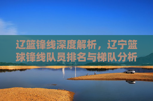 辽篮锋线深度解析，辽宁篮球锋线队员排名与梯队分析