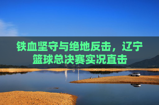 铁血坚守与绝地反击,辽宁篮球总决赛实况直击