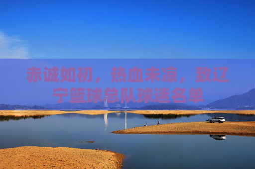 赤诚如初,热血未凉,致辽宁篮球总队球迷名单