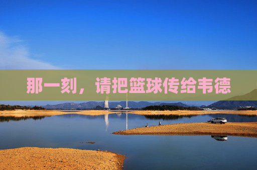 那一刻,请把篮球传给韦德