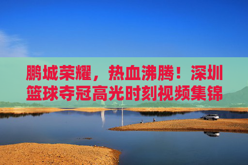 鹏城荣耀,热血沸腾!深圳篮球夺冠高光时刻视频集锦